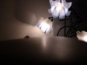 IMG_20161114_210805464.jpg