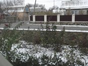 DSCF7006.JPG
