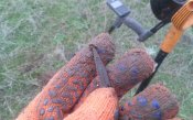 20161115_084716.jpg
