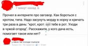 121.jpg