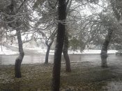 20161116_075031.jpg