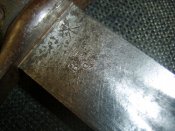 STA72792.jpg