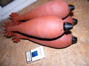 DSCF3528.JPG