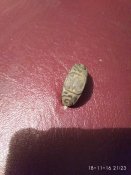 IMG_20161118_212400.jpg