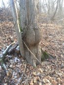 20161119_093253.jpg