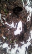 IMG_20161119_093128.jpg