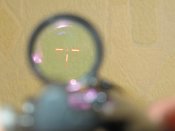IMG_1305.JPG