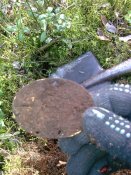 жет.с дыркой.jpg