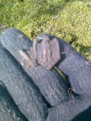 полом .штурм.jpg