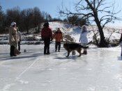 IMG_1379.jpg