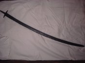 DSC07211.JPG