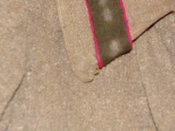 z_b647094c.jpg