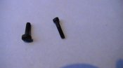 PIC_0355.JPG