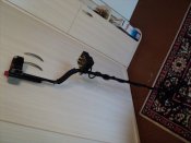 DSC08547.JPG