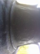 10082011070.jpg