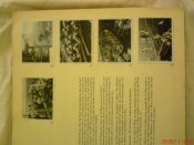 DSC01776.JPG