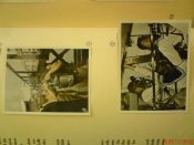 DSC01777.JPG