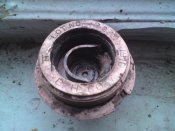 DSC00022.jpg