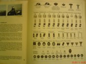 DSC01783.JPG