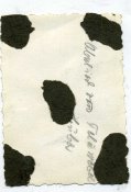 img387.jpg