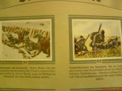 DSC01792.jpg