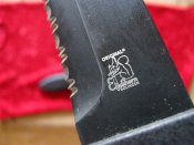 IMG_0349.JPG