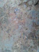20161126_100333.jpg