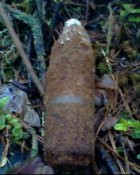 IMG0191A.jpg