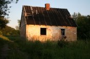IMG_2247.jpg