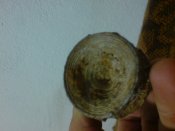 DSC00035.JPG