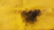 rps20161126_183434.jpg