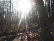 DSCF7082.JPG