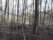 DSCF7086.JPG