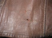 IMG_2622.JPG