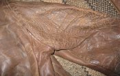 IMG_2628.JPG