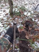 IMG_20161127_132222.jpg