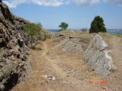 DSC01030.jpg