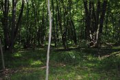 DSC_0169.jpg