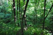 DSC_0179.jpg