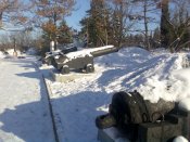 Блюм009.jpg