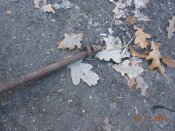 DSCN4867.JPG