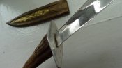 DSC04127.JPG