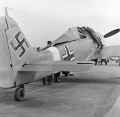 Fw 190 Focke-Wulf.jpg