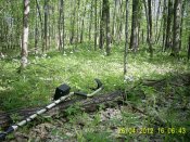 PIC_0006.JPG