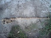 DSC00482.jpg