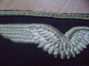 DSC07113.JPG