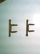IMG0125A.jpg