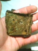 IMG0139A.jpg