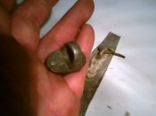 IMG0186A.jpg