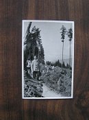 Фотооткрытка ,Серия фотооткрыток Адольф Гитлер , №46